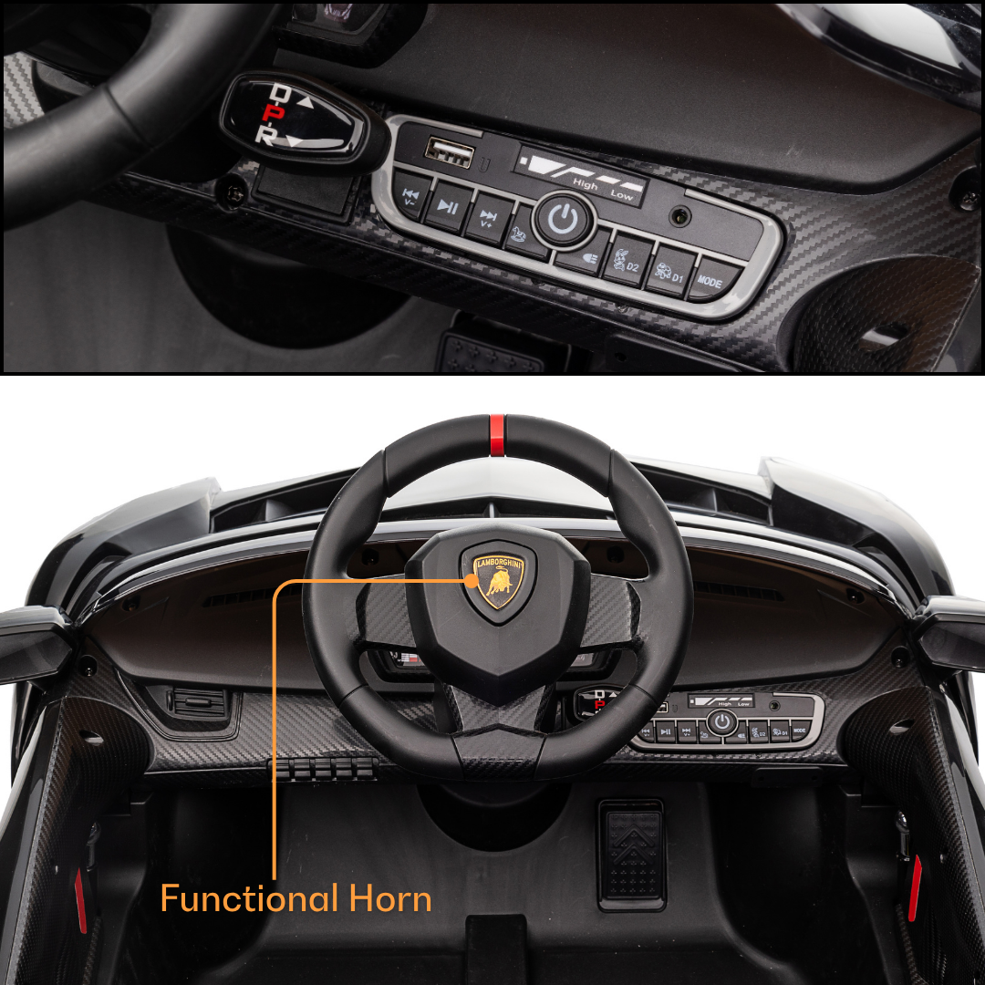 Lamborghini Veneno – Schwarz