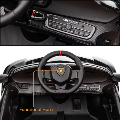 Lamborghini Veneno – Schwarz