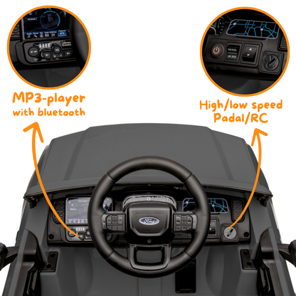 Ford Ranger Wildtrak - Gris