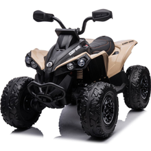 Can Am Renegade 850 - Beige