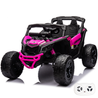 Can-Am Maverick R - Rose