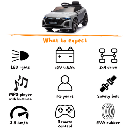 Audi SQ8 e-Tron - Gris