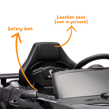 Ford Mustang Shelby GT500 - Zwart