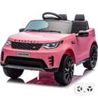 Land Rover Discovery S - Pink