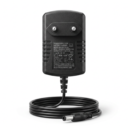 Charger 12V 1000mAh
