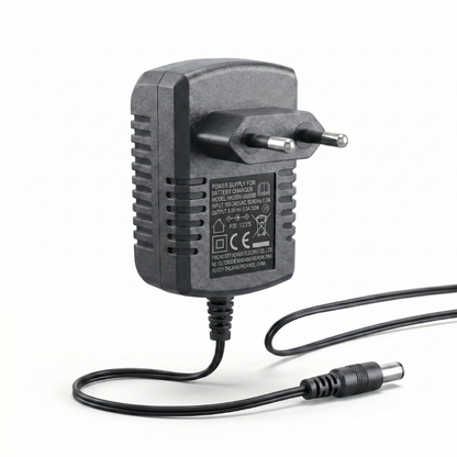 Charger 6V 500mAh